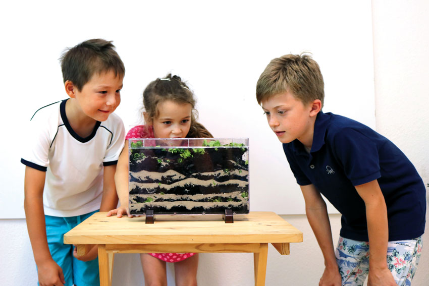Grundschüler beobachten ihr Regenwurmhotel