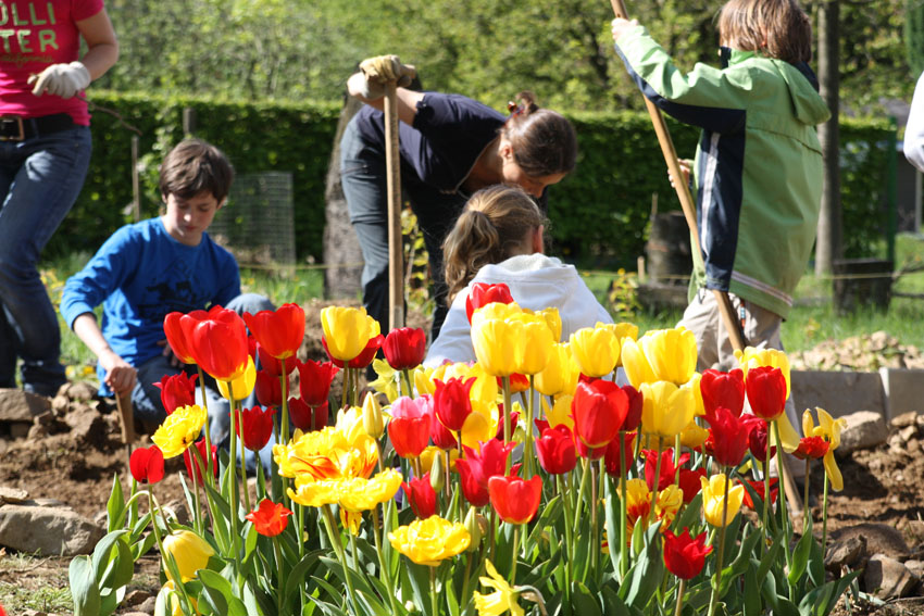 Im Schulgarten können sich unsere Schüler unmittelbar mit der Natur auseinandersetzen