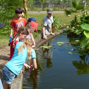 Sommerferienbetreuung 2013