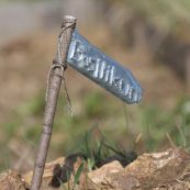 140328 Tag des offenen Gartens