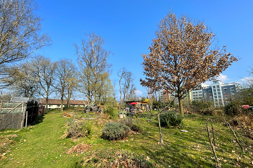 Baumpflanztag im Schulgarten