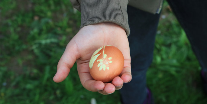 Osterei mit Naturfarben gefärbt und mit Motiv aus der  Natur