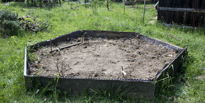 Beet Schulgarten