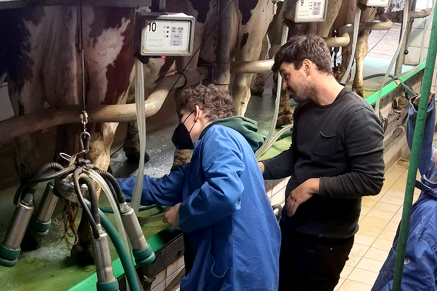 Projekt zum Tierwohl in der Rinderhaltung