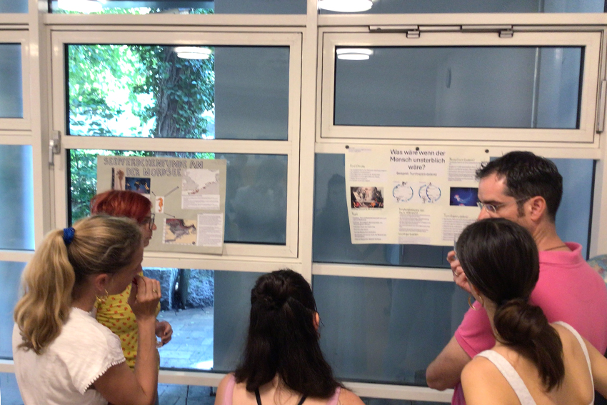 Postersession des Seminarkurses Meeresbiologie
