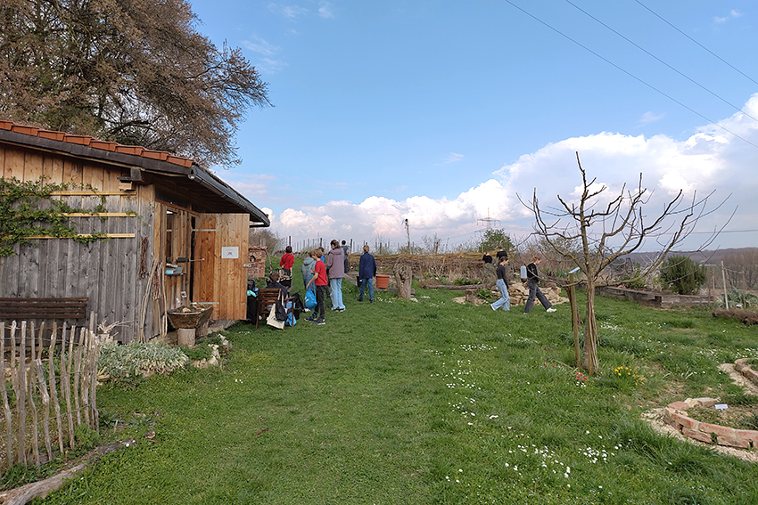 NABU-Wildbienengarten in Opfingen