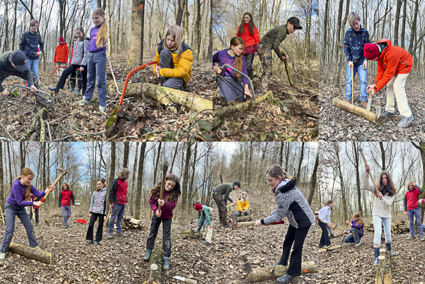 Schülerinnen und Schüler der 7. Klasse bei der Arbeit im Wald