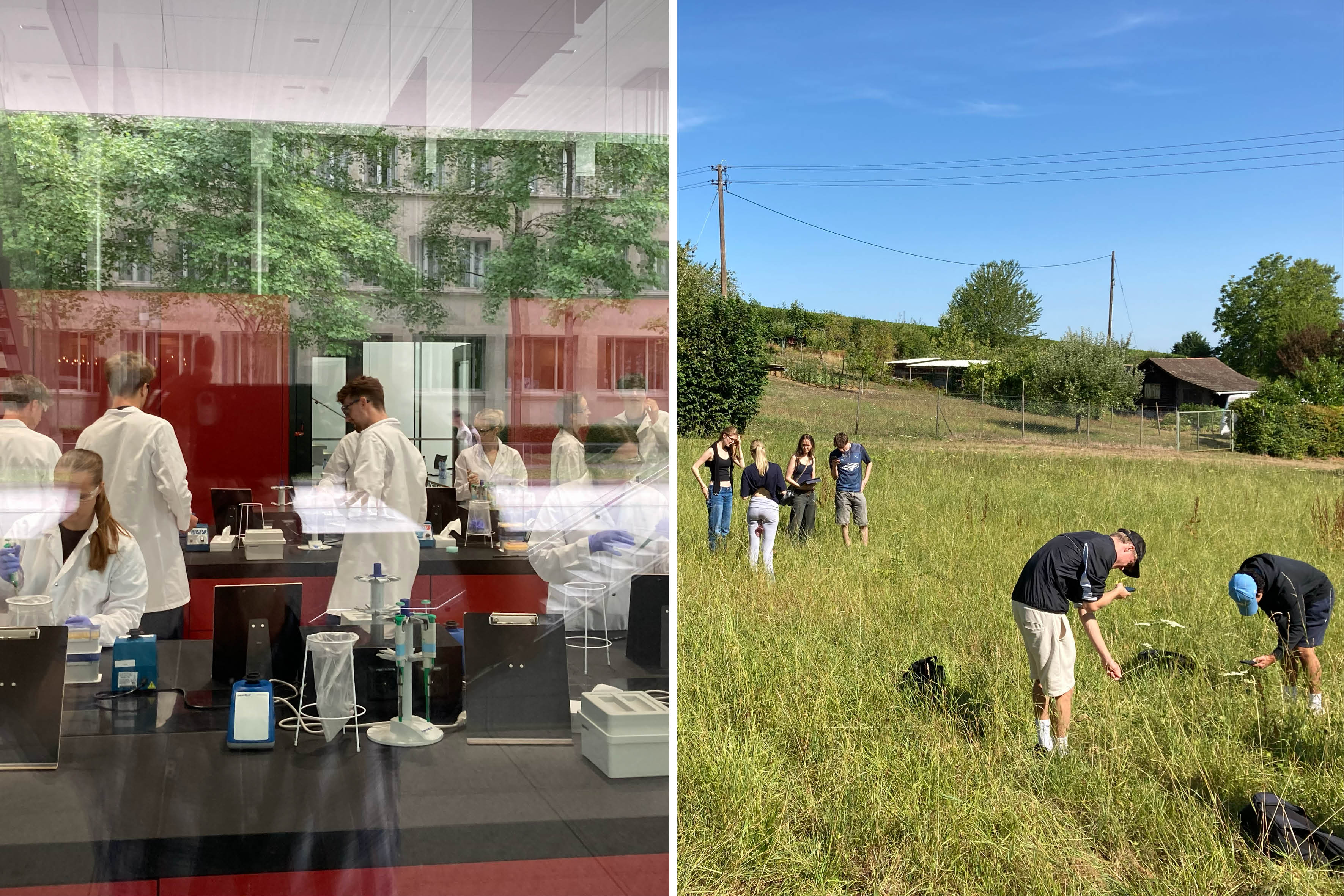 Zwei Exkursionen des Bio-Leistungsfachs nach Basel und auf den Schönberg