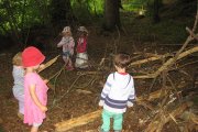 Waldtag der Rosengruppe