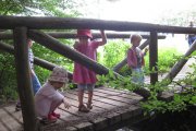 Waldtag der Rosengruppe