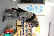 Fasnet 2016