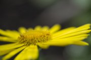 Ferienfreizeit-Fotografieprojekt-2016