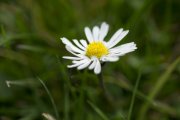 Ferienfreizeit-Fotografieprojekt-2016