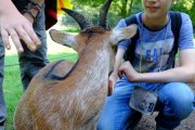 Sommerferienfreizeit 2014