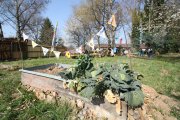 Tag des offenen Gartens 2014
