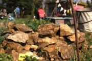 Tag des offenen Gartens 2014