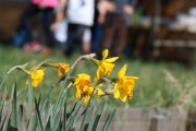 Tag des offenen Gartens 2014