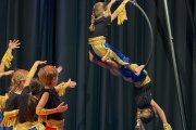 Circus ANGELLino