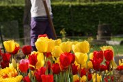 Gartenprojekt der Grundschule 2012