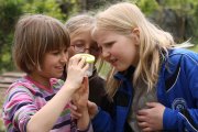 Gartenprojekt der Grundschule 2012