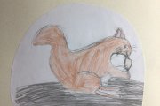 Olympiade der Tiere