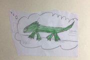 Olympiade der Tiere