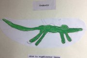 Olympiade der Tiere