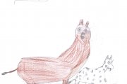 Olympiade der Tiere