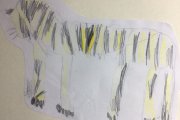 Olympiade der Tiere