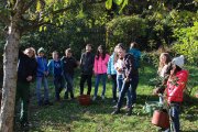 Schüler machen Apfelsaft