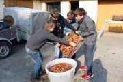 Schüler machen Apfelsaft