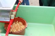 Schüler machen Apfelsaft