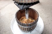 Schüler machen Apfelsaft