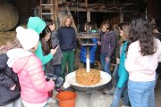 Schüler machen Apfelsaft