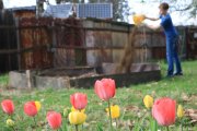 Eierfärben im Schulgarten