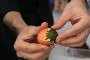 Eierfärben im Schulgarten