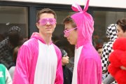 Fasnet 2013