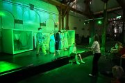 Ein Sommernachtstraum