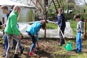 7b pflanzt Vogelschutzhecke 