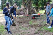 7b pflanzt Vogelschutzhecke 