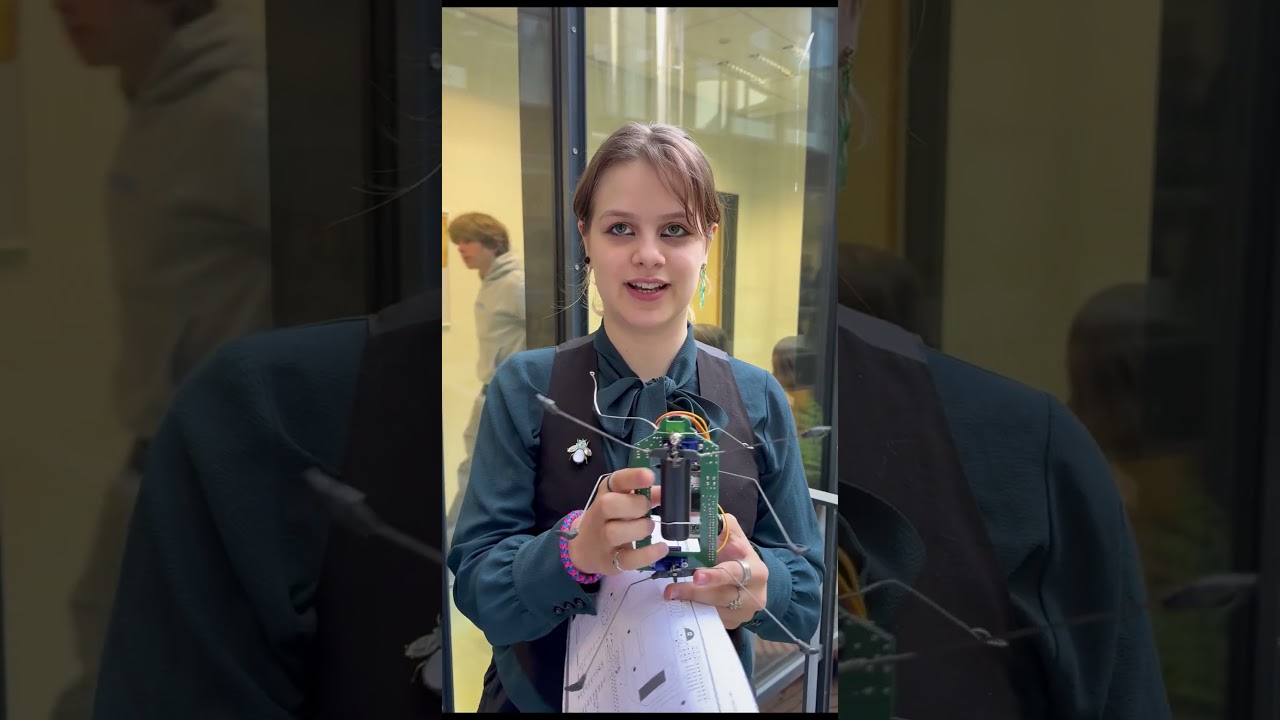 Youtube Vorschau - Video ID CNKuEQfGFwM